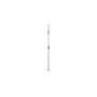 SAMSUNG - Galaxy Tab S10 Lite 5G 128GB Prateado SM-X406BZSREUB