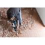 BOSCH - Martelo Max GSH 7 VC Prof 0611322000