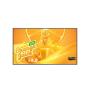 LG - Monitor Digital Signage 24/7 55UH5Q-E.AEU