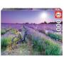 EDUCA - Puzzle 1000 Bicicleta Num Campo de Lavanda 19255