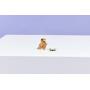 LEGO - Hamster Adorável com Flor 31376