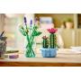 LEGO - Cacto em Flor 11509