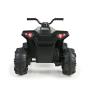 FEBER - Quad Boxer 12V FEN47000