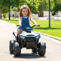 FEBER - Quad Boxer 12V FEN47000
