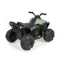 FEBER - Quad Boxer 12V FEN47000