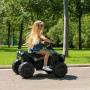 FEBER - Quad Boxer 12V FEN47000