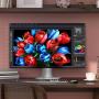 TCL - Monitor MiniLED 24,5" QHD 25G54