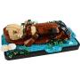 LEGO - Lontras Marinhas Flutuantes 21366