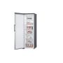 LG - Congelador Vertical GFE41PZGSZ