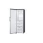 LG - Congelador Vertical GFE41PZGSZ