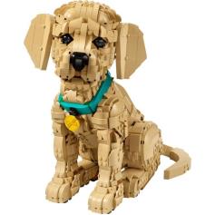 LEGO - Cachorrinho Golden Retriever 11384&nbsp;