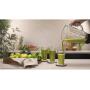 CECOTEC - Liquidificadora Power Black Titanium 1300 PerfectMix 4140