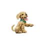 LEGO - Cachorrinho Golden Retriever 11384&nbsp;