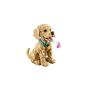 LEGO - Cachorrinho Golden Retriever 11384&nbsp;