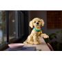 LEGO - Cachorrinho Golden Retriever 11384&nbsp;