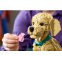 LEGO - Cachorrinho Golden Retriever 11384&nbsp;