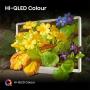 HISENSE - QLED Deco Smart TV FHD 43S5Q