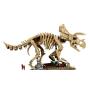 LEGO - Fósseis de Dinossauros: Triceratops 77985