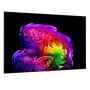 LG - Smart TV 83" OLED Evo AI 4K&nbsp;a11Gen3 WebOS26 OLED83G64LW.AEU