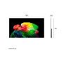 LG - Smart TV 48" OLED AI 4K WebOS26 OLED48B65LA.AEU