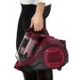 ROWENTA - Aspirador RO2933EA