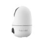 TP-LINK - Câmara de Segurança Tapo C245D