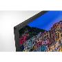 SONY - LED Android TV FullHD KD32W800P1B.CEI