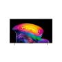 LG - Smart TV 42" OLED Evo AI 4K&nbsp;a11Gen3 WebOS26 OLED42C6ELB.AEU