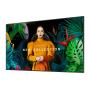 SAMSUNG - Monitor Profissional 55" QHC55 4K 24/07 700nit LH55QHCEBGCXEN