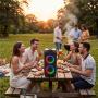 NGS - Coluna Portátil de 160W WILDBANGER2