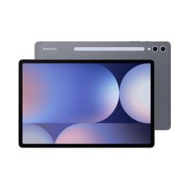 SAMSUNG - Galaxy Tab S10+ Wi-Fi 256GB Moonstone Gray SM-X820NZAREUB