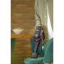 HOOVER - Aspirador Vertical HF410H 011