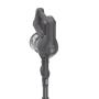 HOOVER - Aspirador Vertical HF103X 011
