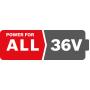 BOSCH - Bateria Power 4All 36 V 4,0 Ah F016800346