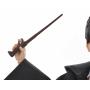 HARRY POTTER -Câm. Segredos Harry Potter FYM50