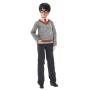 HARRY POTTER -Câm. Segredos Harry Potter FYM50