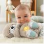 FISHER-PRICE - Lontra Dorme Bebé FXC66