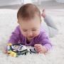 FISHER-PRICE - Lontra Oscilante HXG96
