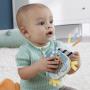 FISHER-PRICE - Lontra Oscilante HXG96