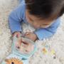 FISHER-PRICE - Lontra Oscilante HXG96