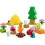 LEGO 10452 Viagem de Acampamento