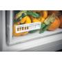 HOTPOINT - Frigorífico 1 Porta SH8 2D XFD