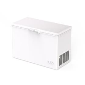CENTURY - Arca Congeladora SI 620 3DAS162000