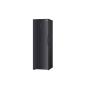 LG - Arca Vertical GFM61MCCSF
