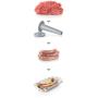 BOSCH - Picadora de Carne MFW68660
