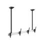 EQUIP - Suporte Teto Duplo TV 45"-55" 650373
