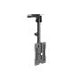 EQUIP - Suporte Teto TV 23"-55" 650375