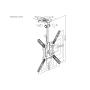 EQUIP - Suporte Teto TV 23"-55" 650375