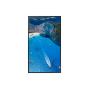 SAMSUNG - Monitor LFD Semi Outdoor OM75A LH75OMAEBGBXEN