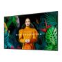 SAMSUNG - Monitor LFD QM65C LH65QMCEBGCXEN